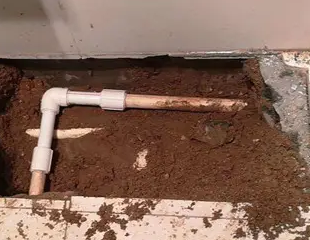 下陆测漏水哪家好