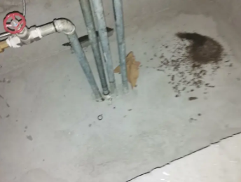 下陆卫生间测漏水价格明细